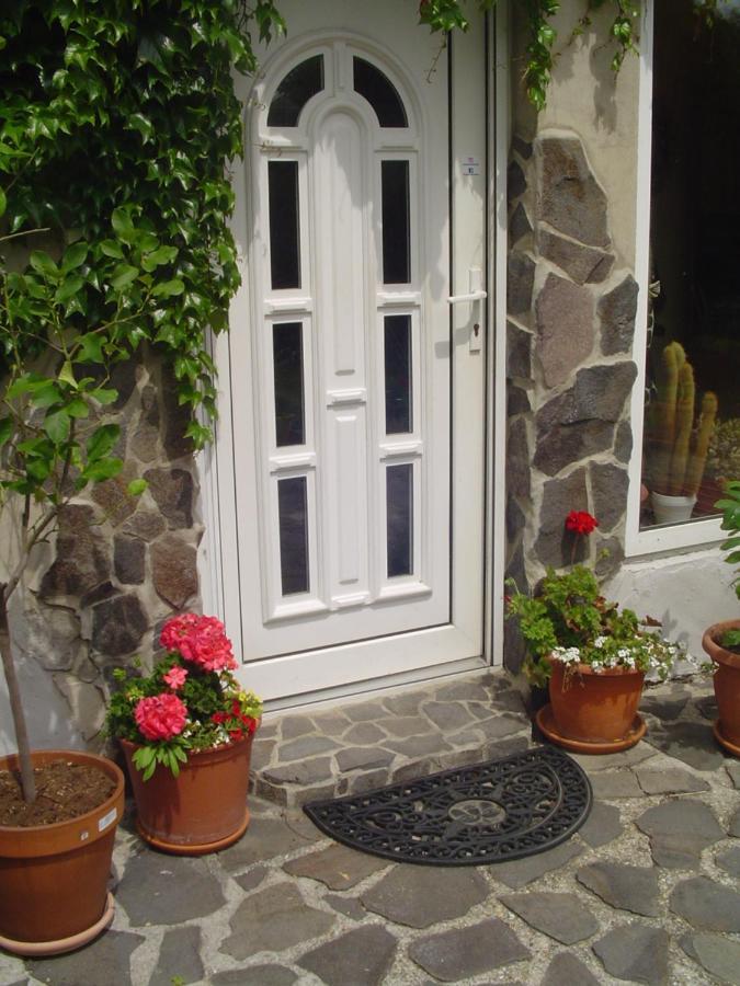 Villa Ametyst Štúrovo Exteriér fotografie